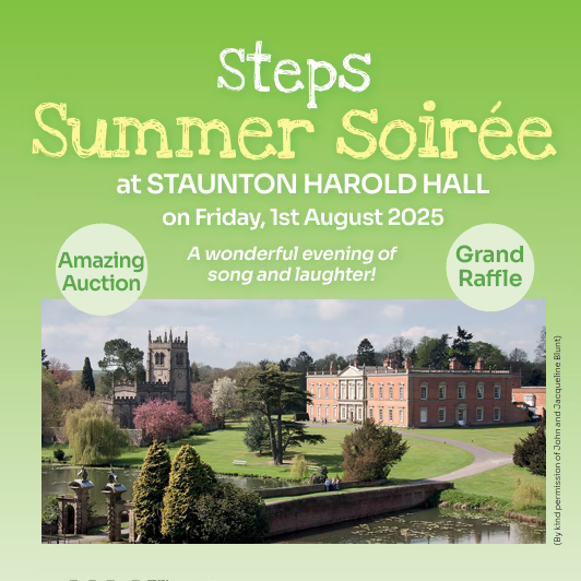 Steps Summer Soiree shop image